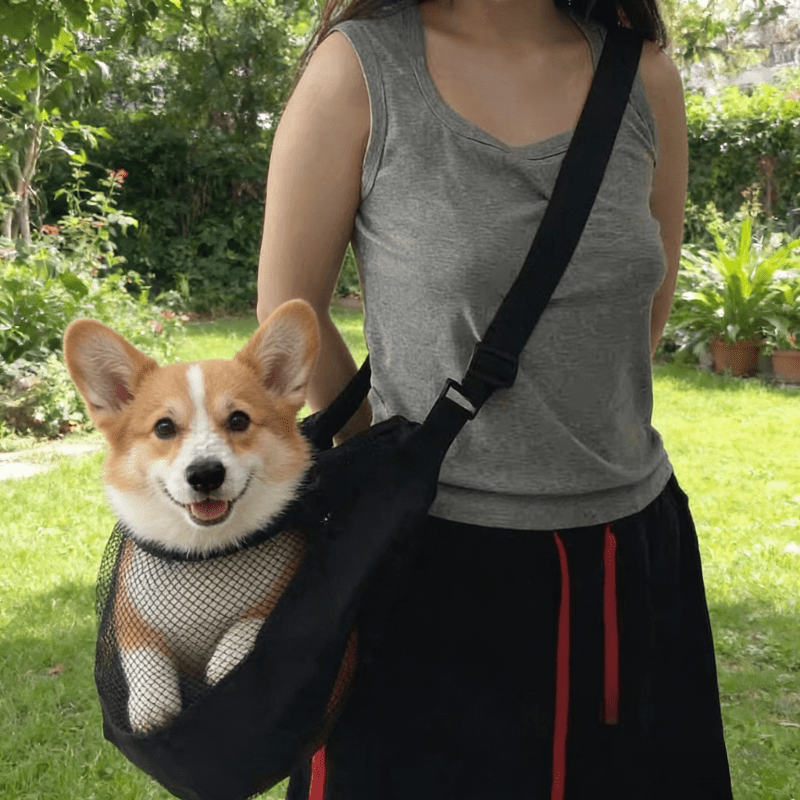 Travel Accessories Dog - Lightweight Breathable Mesh Dog Carrier for