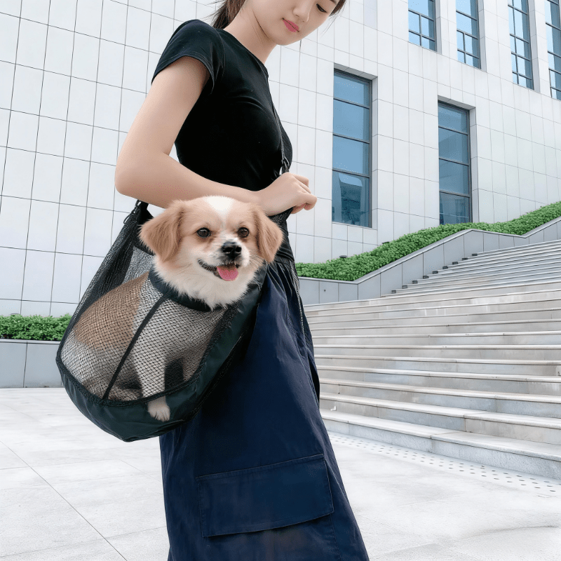 Lightweight Breathable Mesh Do - đánh giá và giá Travel Accessories Dog