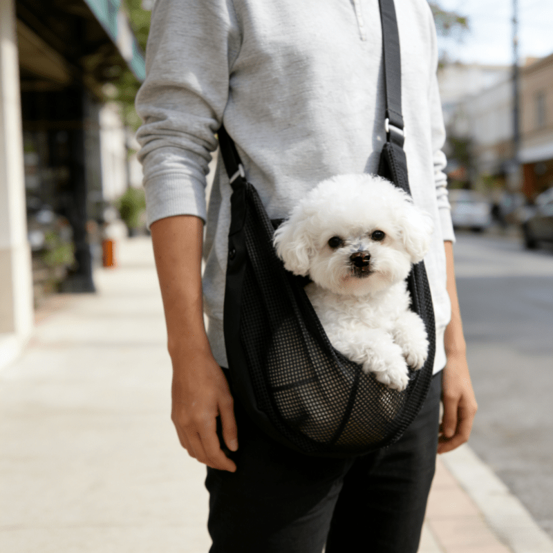 Lightweight Breathable Mesh Do - đánh giá và giá Travel Accessories Dog