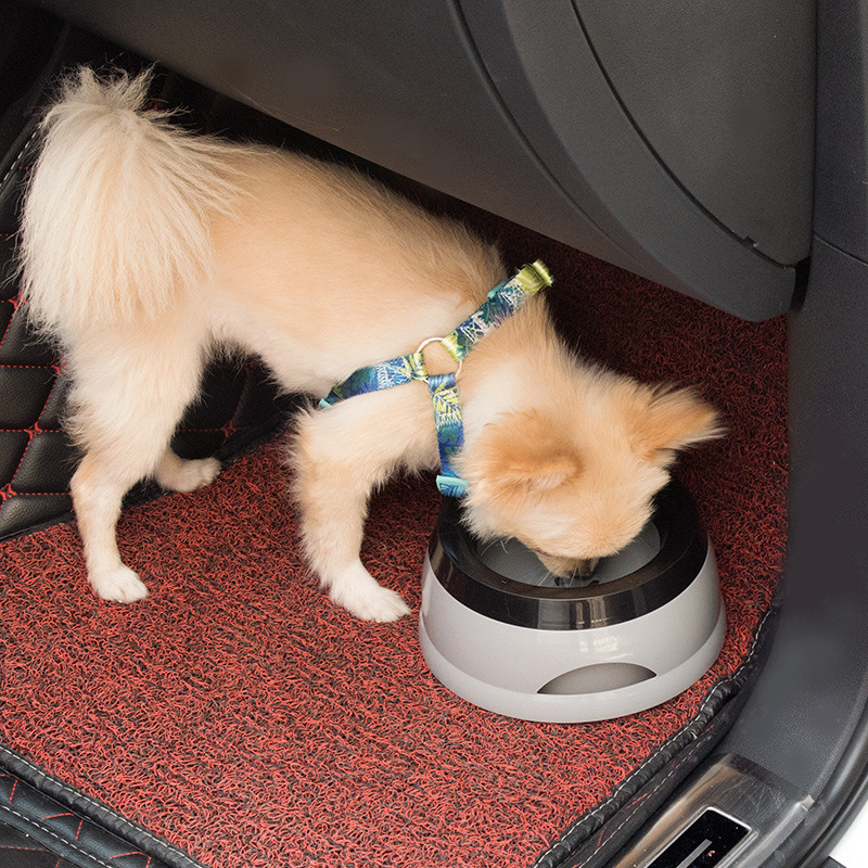 Pet Dog Bowls Floating Not Wet - đánh giá và giá Travel Accessories Dog