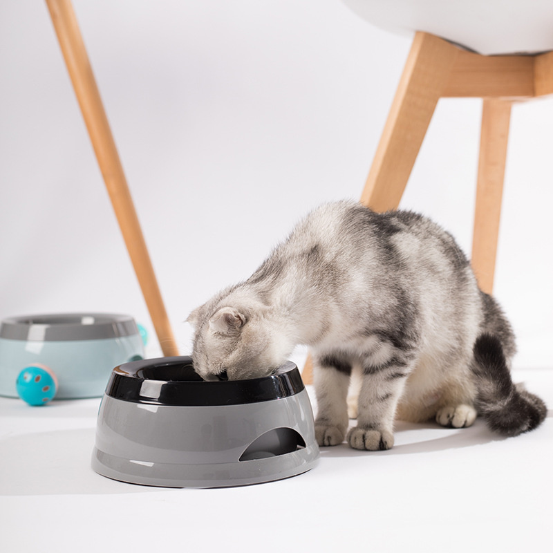 Pet Dog Bowls Floating Not Wet - đánh giá và giá Travel Accessories Dog